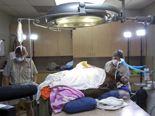 Medical Equipment Know-How